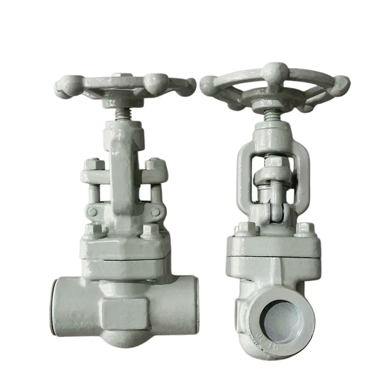 Valve ya Lango la Kughushi yenye soketi yenye tundu