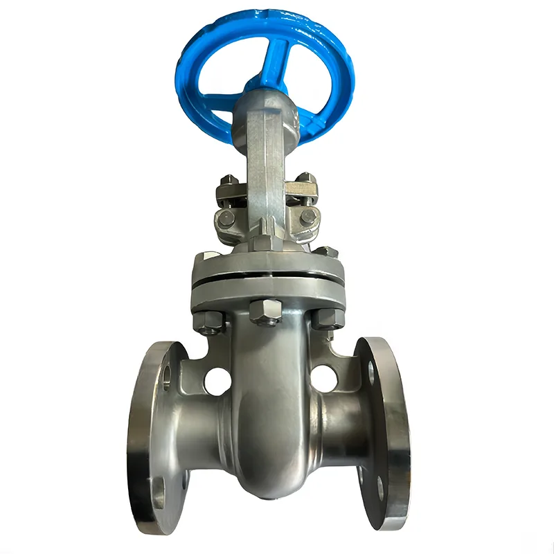 API ya Chuma cha pua Valve ya Lango yenye Flanged