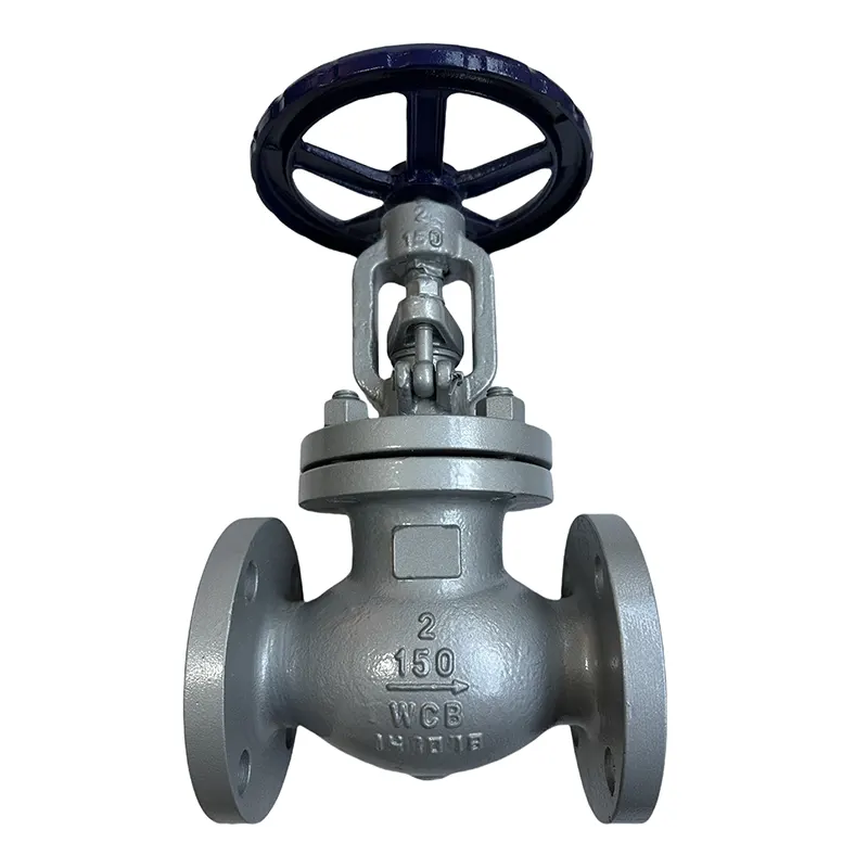 Valve ya Globu ya Wcb